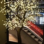 Photo taken by Amy C