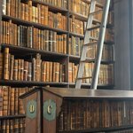 Photo taken by Shamma L