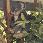 Photo taken by Lilly R