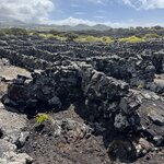 Photo taken by Catherine H