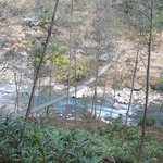 Photo taken by Amy S