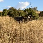 Photo taken by rhonda c