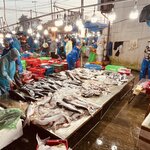 Photo taken by Don M