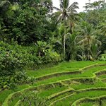 Photo taken by Nancy P