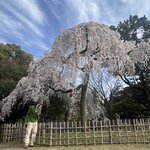 Photo taken by Kirti P