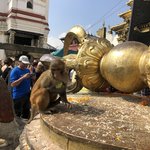 Photo taken by Matthew M