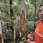 Photo taken by Emily H