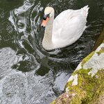 Photo taken by Ashley B