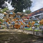 Photo taken by Becca S