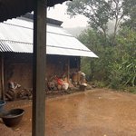 ...... and then the rain came down | Photo taken by Gregory R