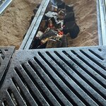 Photo taken by Kirti P