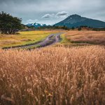 Photo taken by timothy m