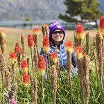 Photo taken by Samir K