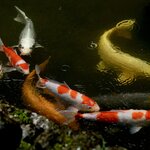 Photo taken by Caroline K