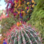 Photo taken by Jay H