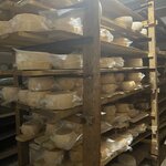 Photo taken by Janice R