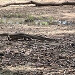 Photo taken by Michael L