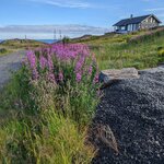 Photo taken by Dani L