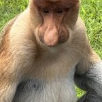 Photo taken by Edit M