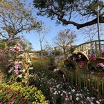 Photo taken by Chad K