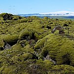 Photo taken by Eneken M