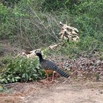 Photo taken by Kakoli K