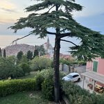 Photo taken by Ronda O