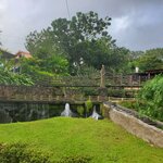 Photo taken by Lisa R