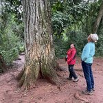 Photo taken by Graciela P