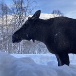 Photo taken by Sara L