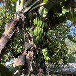 Photo taken by Alexia M