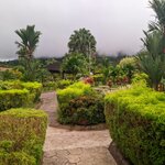 Photo taken by Traci V