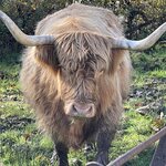 Photo taken by David L