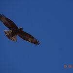 Photo taken by Jennifer Z