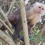 Photo taken by Brett F