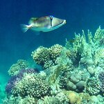 Photo taken by Maryann S