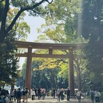 Photo taken by Cathy V