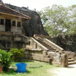 Photo taken by Alfred T