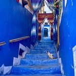 Photo taken by Monika S