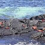 Photo taken by Carla C