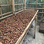 Photo taken by Michelle D