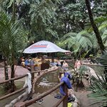 Photo taken by Peter B