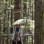 Photo taken by Sharon P