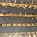 Photo taken by jennifer j