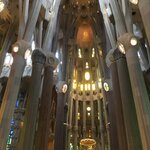 Photo taken by Suzanne S