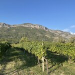 Photo taken by judy s