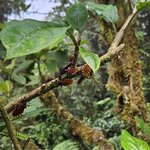 Photo taken by Andrea M