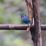 Photo taken by Jayme B