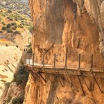 Photo taken by Suzanne C