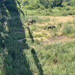 Photo taken by Christopher F